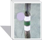 Tomorrow the Future Will Be Different Than Today [Unknown Binding] unknown author