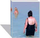 Tofer Vacation Standards [Unknown Binding] unknown author