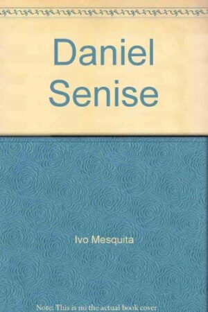 Daniel Senise: La mirada iluminante = the enlightening gaze (Spanish Edition) [Paperback] Mesquita, Ivo; Tejada, Roberto