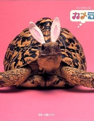 Kamera Fantastic World of Kame [Tankobon Hardcover] unknown author