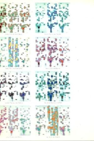 Inigo Manglano-Ovalle: The garden of delights : artist and the community : Southeastern Center for Contemporary Art, July 18-September 30, 1998 Manglano-Ovalle, In?igo