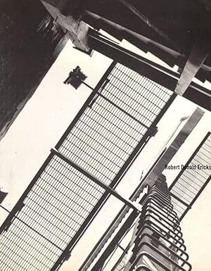 Robert Donald Erickson: The Lens of The Total Designer [Paperback] Erickson, Robert Donald & Diane Erickson and Profusely illustrated