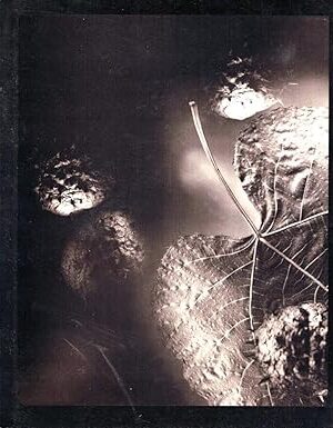 Botanical [Paperback] SCHNEIDER, Gary