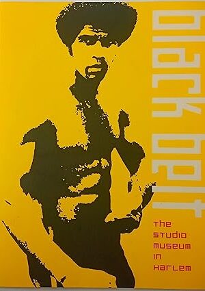 Black Belt [Paperback] Christine Y. Kim