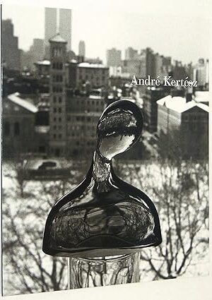 Andre Kertesz: New York State of Mind [Paperback] Kertesz, Andre and Illustrated with Photographs