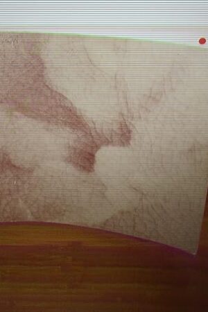 Overglaze Imagery: Cone 019-016 [Paperback] Press Lapis